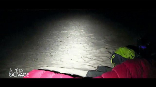 EXCLU - Avant première: Découvrez un extrait inédit de A l'état sauvage diffusé mardi sur M6