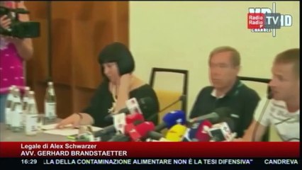 Avv. Gerhard Brandstaetter (Legale di Alex Schwarzer) - 25 giugno 2016 OK