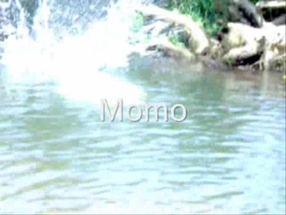 Les amis du DRC