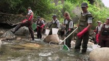 Pêche électrique : Connaître et suivre le peuplement des poissons dans les cours d'eau