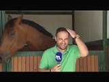 Stop horsing around! Laughing news reporter is repeatedly interrupted by horse