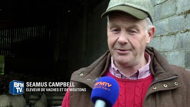 Brexit; les éleveurs écossais inquiets