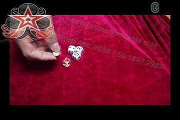 remote control dice