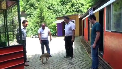 www ereglionder com tr telef olmak uzere iken sahiplenilen zift kopegi sahibine teslim