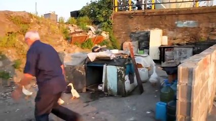 www ereglionder com tr necmi kuru ordek