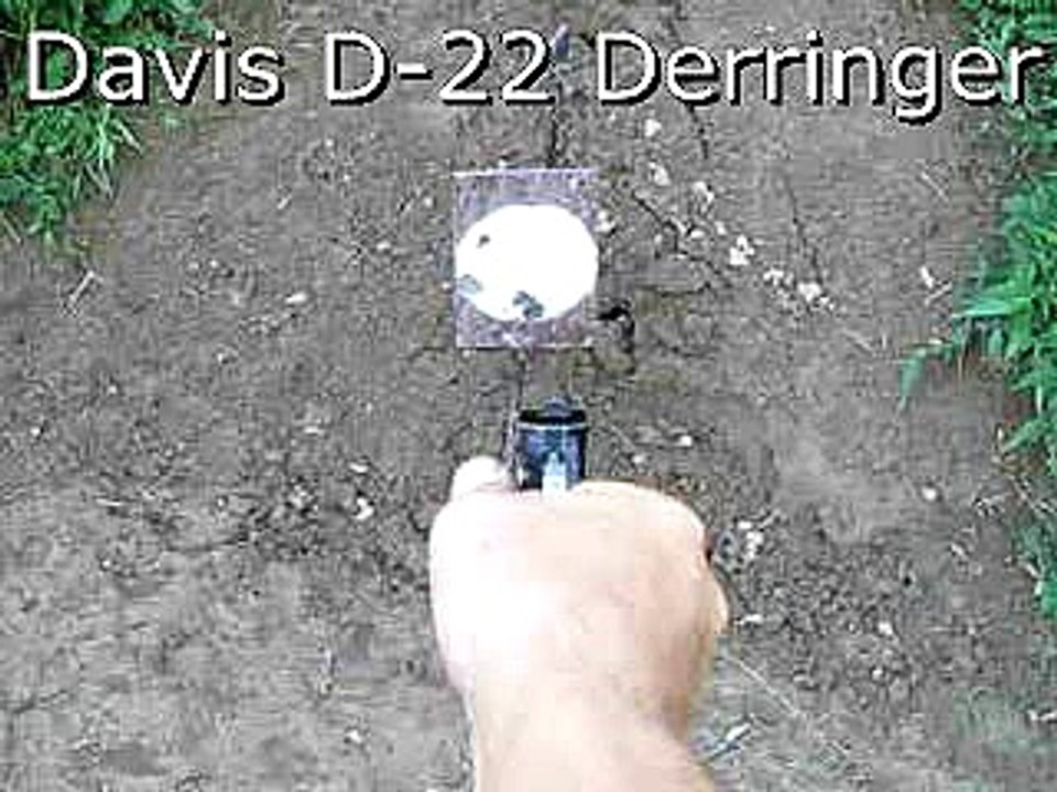 Davis D-22 Derringer