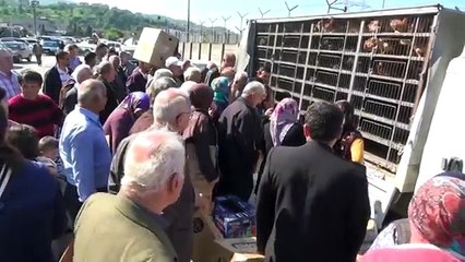 eregli tavuk dagitimi ziraat odasi etkinlik