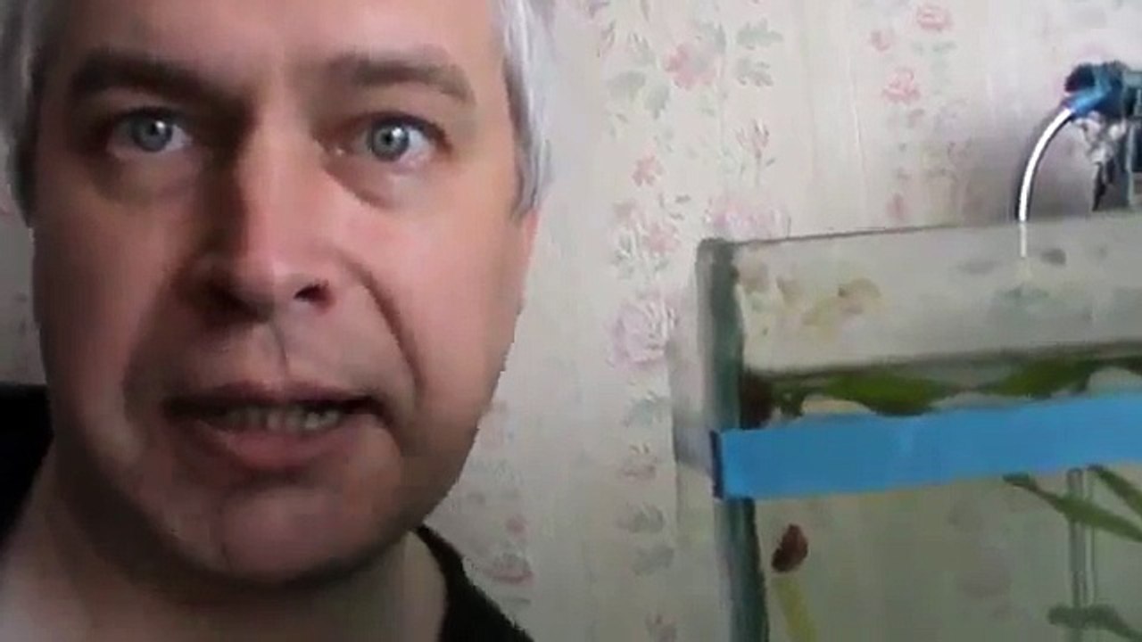 Я снимаю улиток Улитки коричневые в аквариуме Видео прикол про улиток