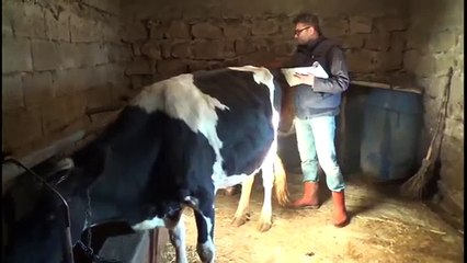eregli karantina koyler ve belde