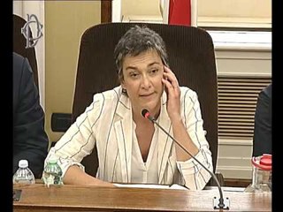 Roma - Audizione Bignardi (23.06.16)