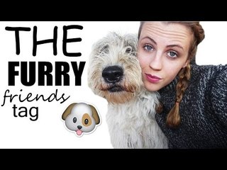 The furry friends tag | Ellie Marie