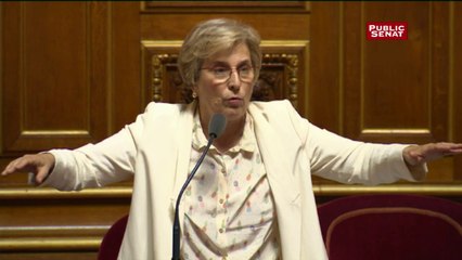 Lienemann (PS) : "Il est urgentissime que la France exprime à ses partenaires une décision unilatérale de suspension de la directive des travailleurs détachés"