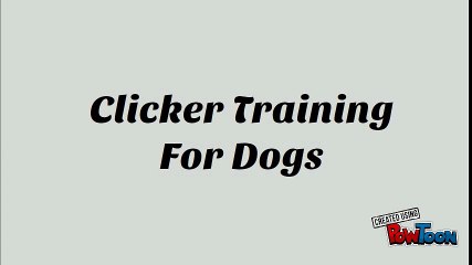 Clicker Training For Dogs