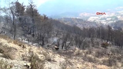 Adrasan' da Evler ve Hayvanların Yaşam Alanları Küle Döndü