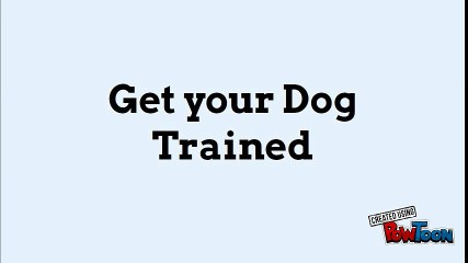 Get your Dog Trained