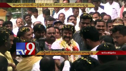 Balakrishna inaugurates NTR statue in Anantapur