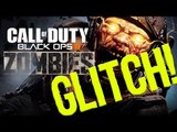 Black Ops 3 Zombies Pile Up Glitch!