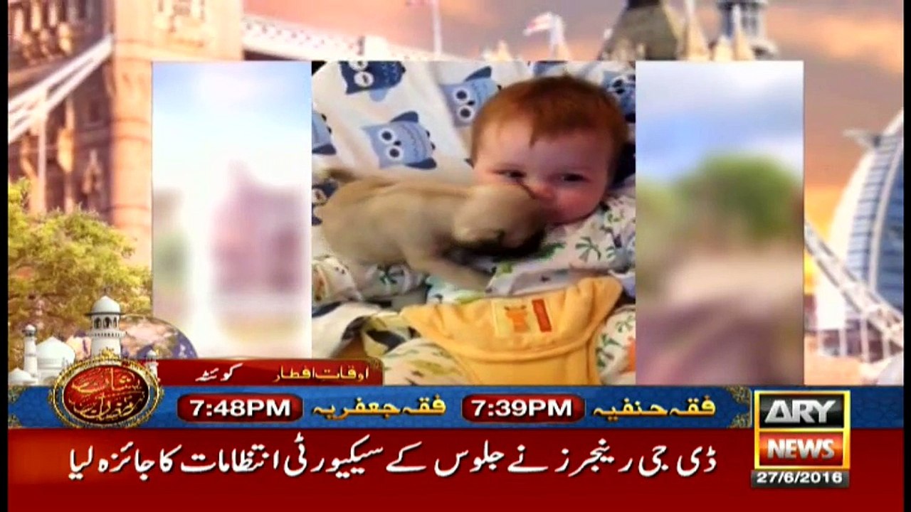 Jahan Bean 27th June 2016