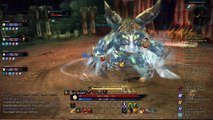 Tera Berserker Last Boss Instance LvL 20-25