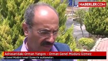 Adrasan'daki Orman Yangını - Orman Genel Müdürü Üzmez