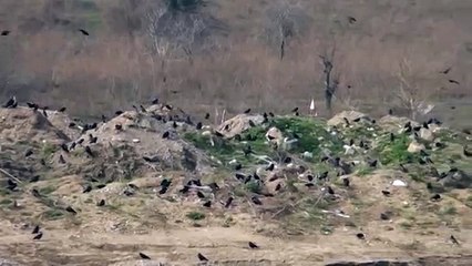 www ereglionder com tr ALAPLI KARGA