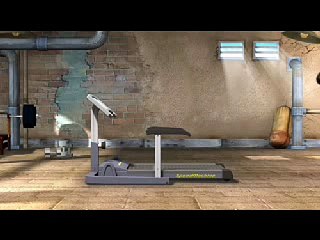 Bears and fitness machines