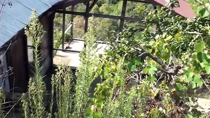 www ereglionder com tr ereglide vahset