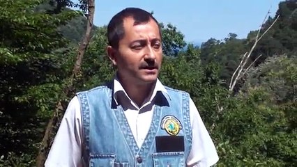 www ereglionder com tr kaymakam ibrahim cay yol incelemesi