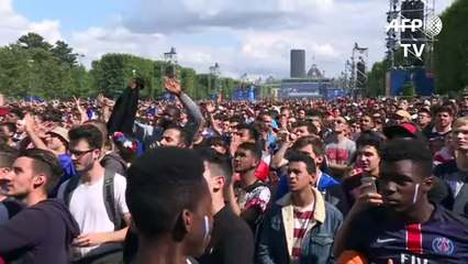 Euro 2016: joie des supporters français après la victoire