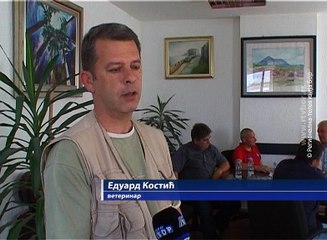 U Boljevcu nema stočne bolesti kvrgave kože, 27. jun 2016. (RTV Bor)