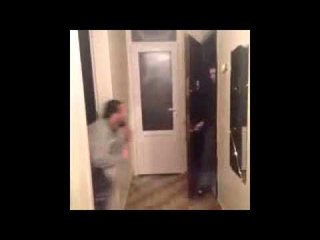 Köpekler ve Kediler Özellikleri Vine Videosu SahneTv