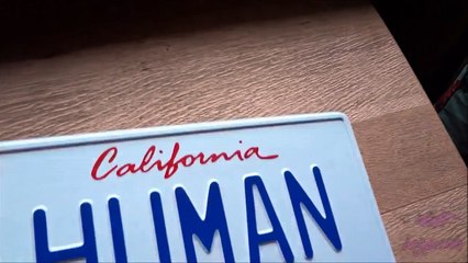 Daft Punk's ELECTROMA License Plate