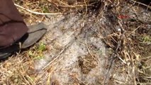 Çanakkale Dolu ve Fırtına Çanakkale'de Tarım Alanlarını Vurdu