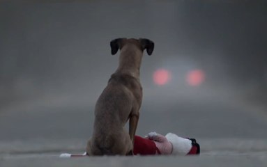 Собака — это не игрушка
