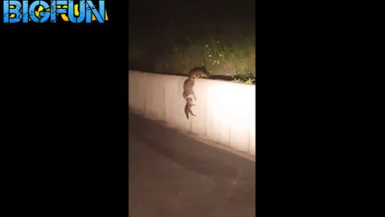 ЛУЧШИЕ ПРИКОЛЫ 2016 ИЮНЬ Самые смешные приколы за июнь 2016 #9