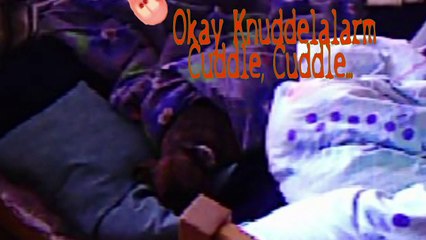 Funny dog won't get out of bed