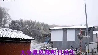 大分県玖珠町日出生の雪 (H.27 12 17)