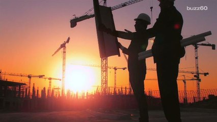 Scientists Considering Eggshells, Bone for Building Materials