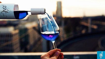 Une start-up espagnole invente le vin bleu, bientôt commercialisé en Europe