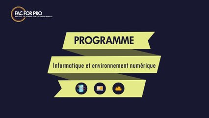 Informatique et environnement numérique - Formation FAC FOR PRO