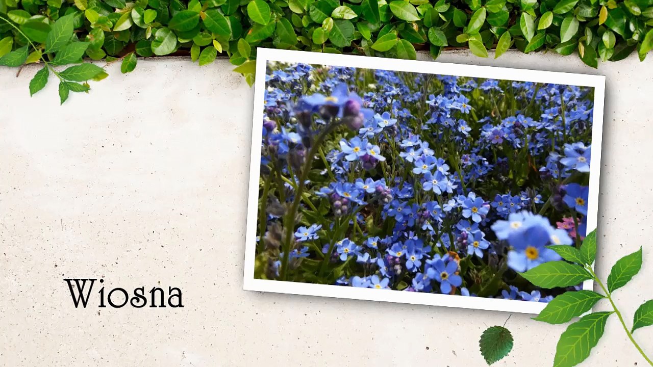 Wiosna - Beata Andrzejewska