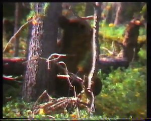 MTV - Mainoksia vuodelta 1990 #2