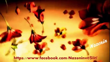 Ajda PEKKAN  Çapkın  satıcı  Vd. NAZENİN