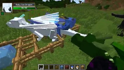 Minecraft- DRAGON MOUNTS (RIDE AETHER, GHOST, FIRE, ICE, WATER,