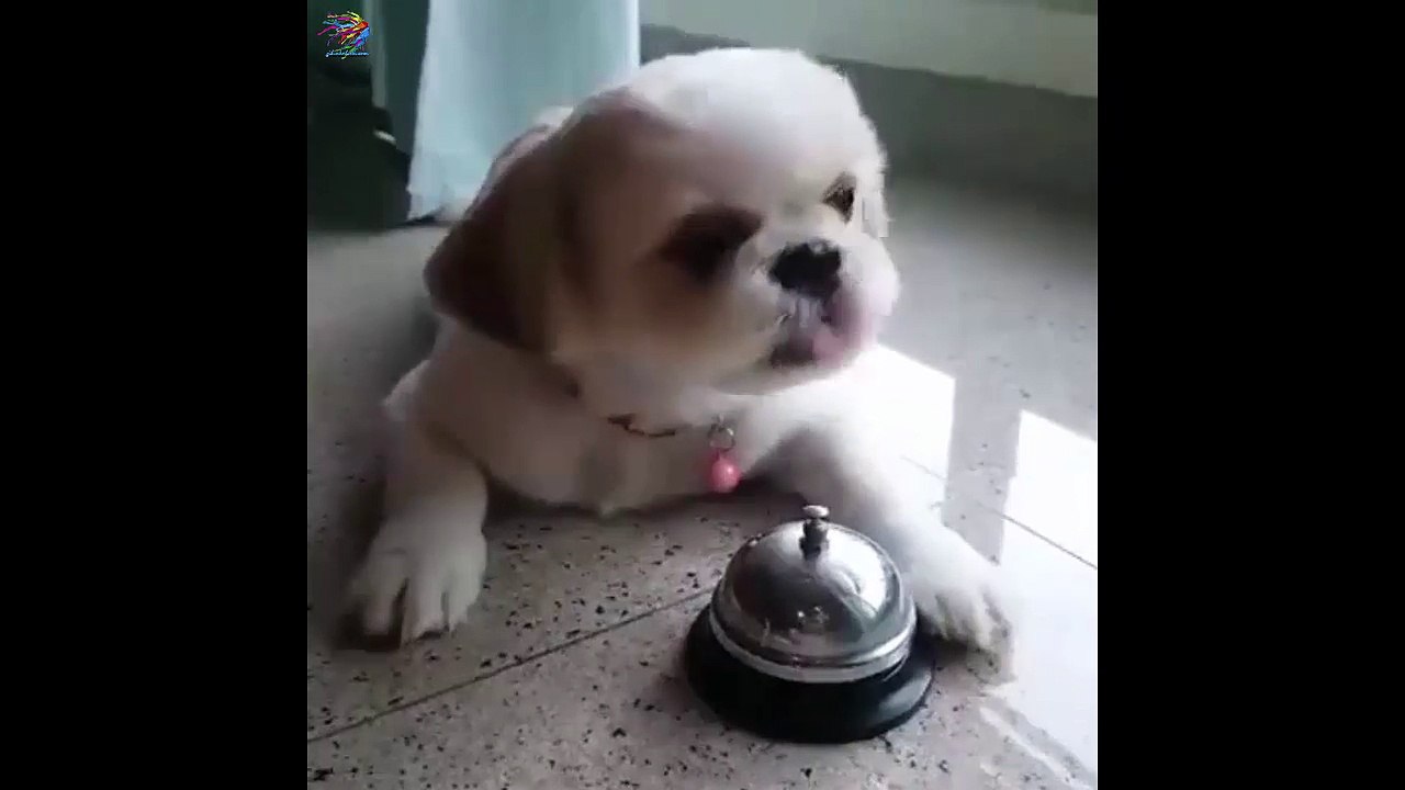 Mamamı Alabilir Miyim?