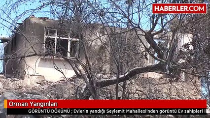 Orman Yangınları