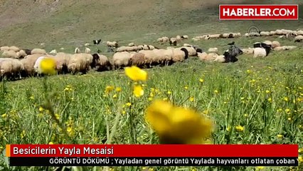 Besicilerin Yayla Mesaisi