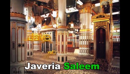 Teri Mehfil Main Chala Aya Hon MP4 Video Naat Download