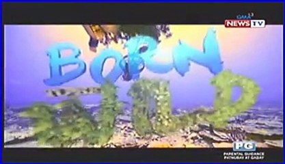 Born To Be Wild June 28 2016