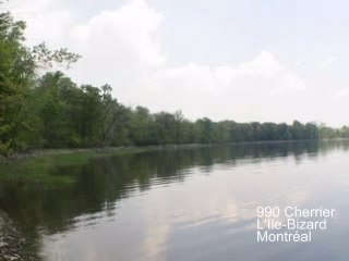 Flash 990 Cherrier v1-show0